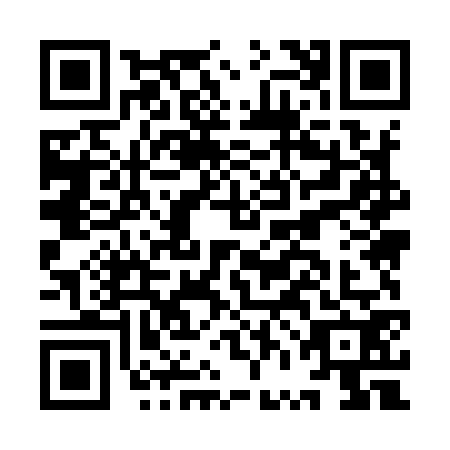 QR code for IVM-9729