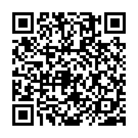 QR code for IYI-2993
