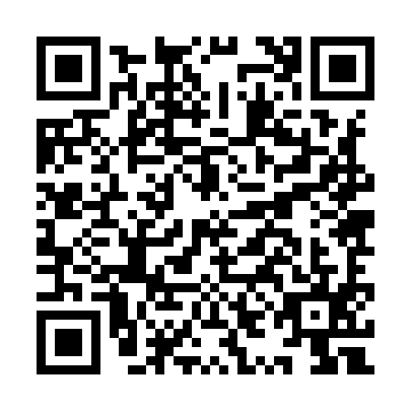 QR code for IYJ-9951