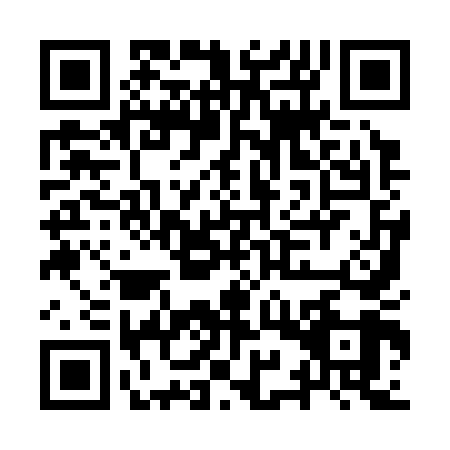 QR code for IYY-3493