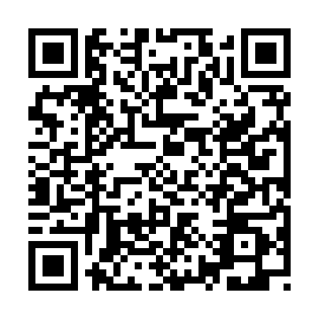 QR code for plate IYZ-8807