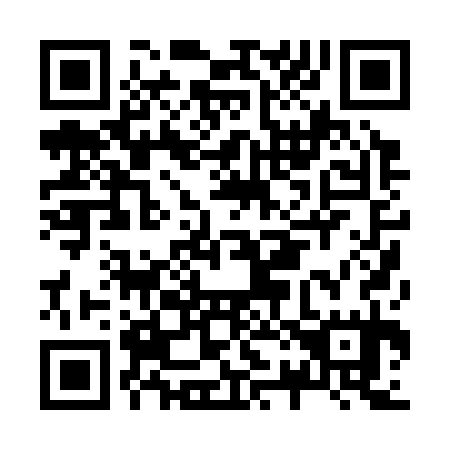 QR code for J20335