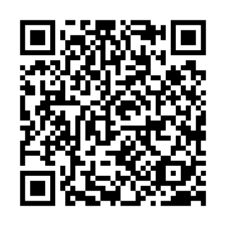 QR code for J38729