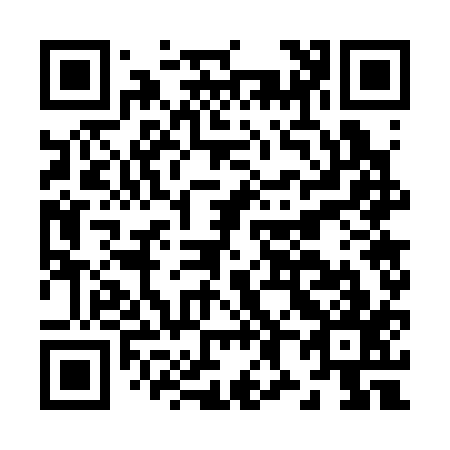 QR code for J87317