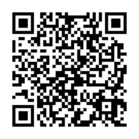 QR code for JAL3638