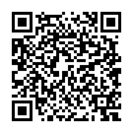 QR code for plate JJD-4111