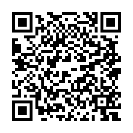 QR code for plate JOY-4538