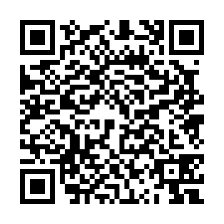 QR code for JQP0386