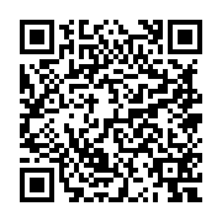 QR code for plate JZQ-8528