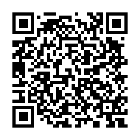 QR code for K91411