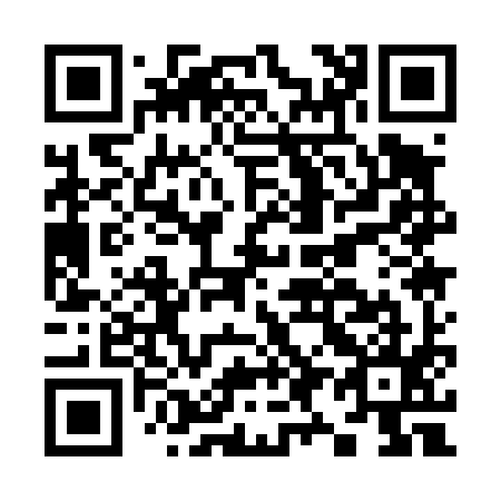 QR code for K91495