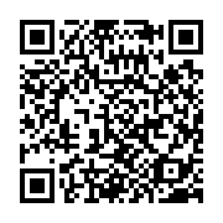 QR code for K91739