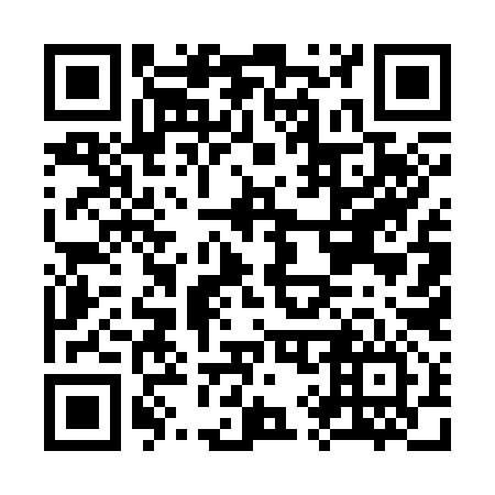 QR code for K95396