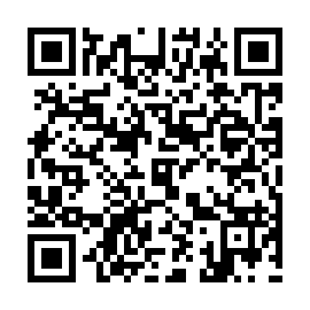 QR code for K95993