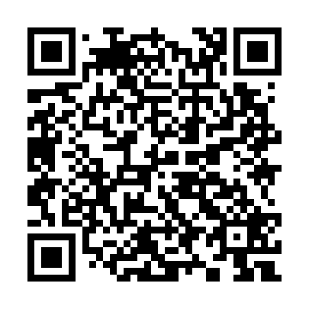 QR code for K99729