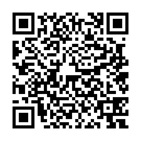 QR code for plate KAG-0384
