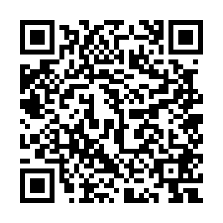 QR code for plate KKG-0489