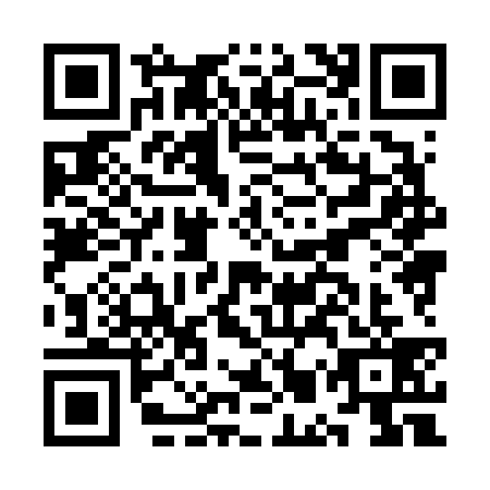 QR code for plate KMX-6398