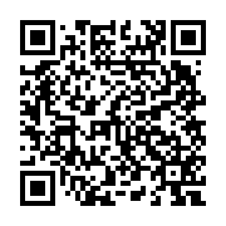 QR code for L02655