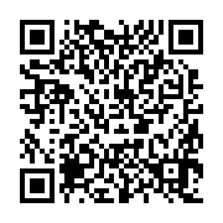QR code for L03294