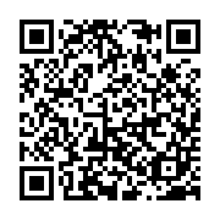 QR code for L03903