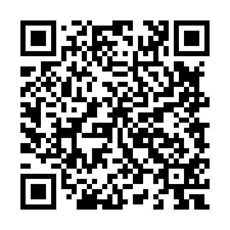 QR code for L04811
