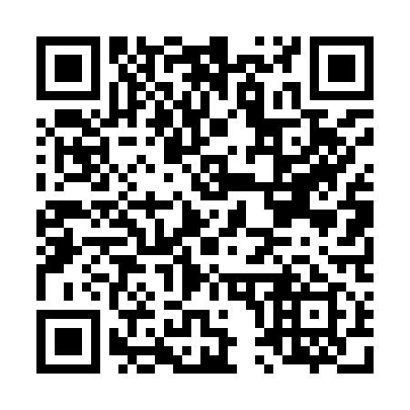 QR code for L04919