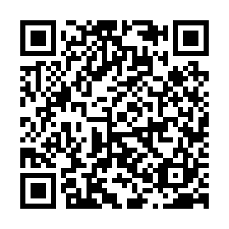 QR code for L06223