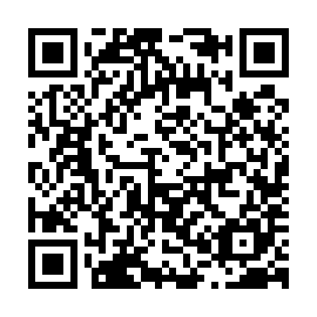 QR code for L06585