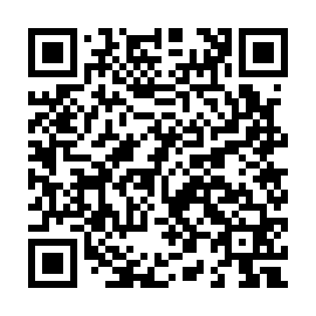QR code for L07160