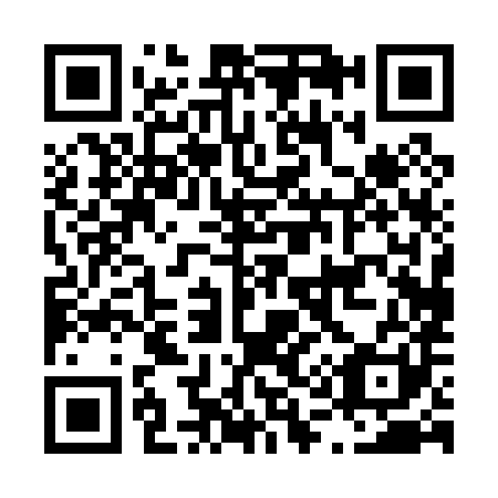 QR code for L10081