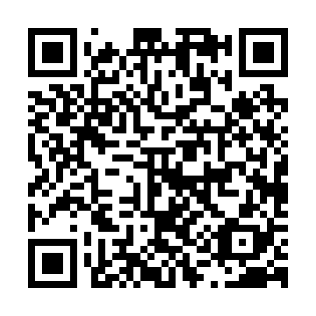 QR code for L10228