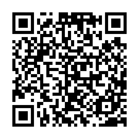 QR code for L10607
