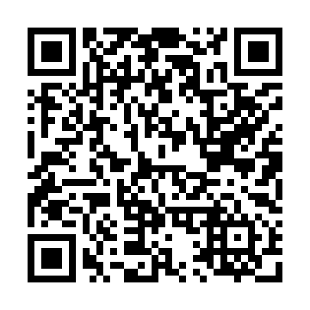 QR code for L10994