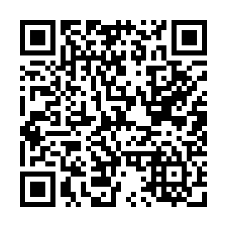QR code for L11125