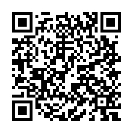 QR code for L11153