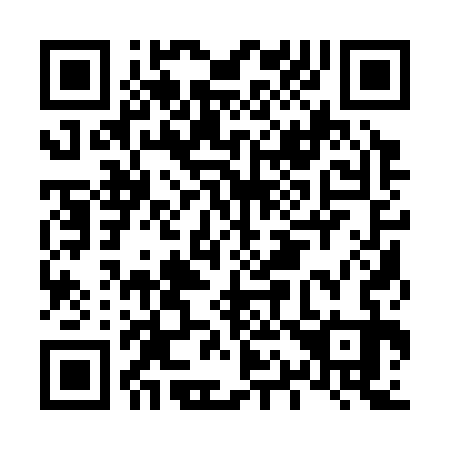 QR code for L11333