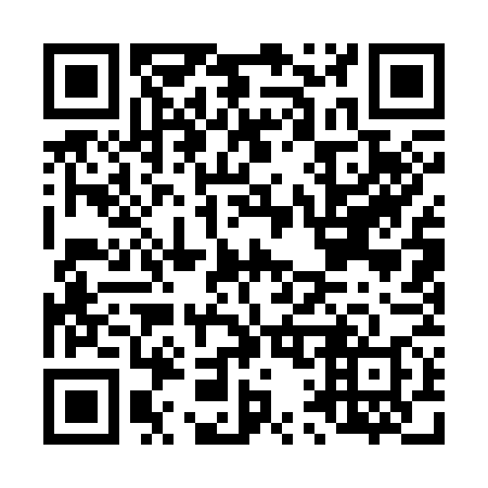 QR code for L11378