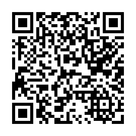 QR code for L11395