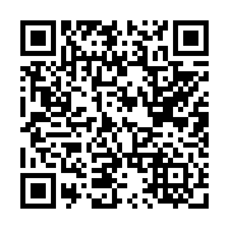QR code for L11641