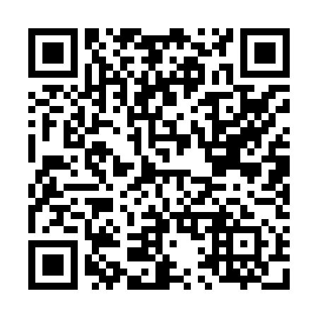 QR code for L11851