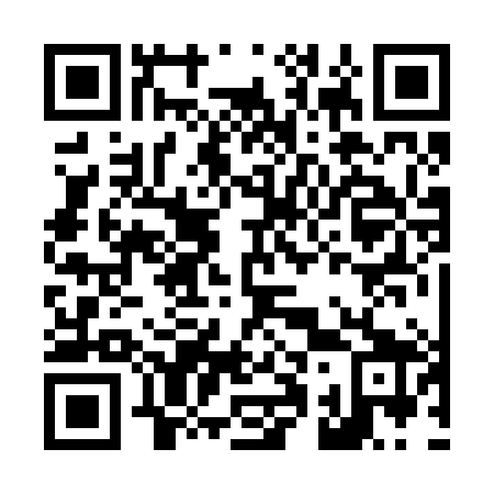 QR code for L12289