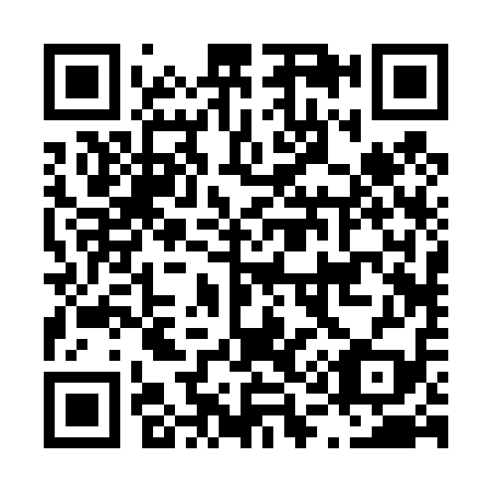 QR code for L12419