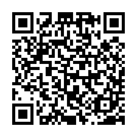 QR code for L12503