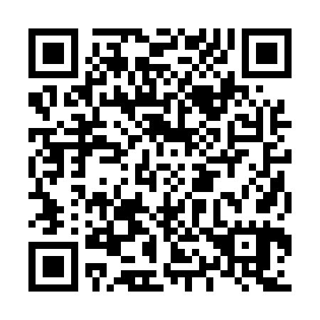QR code for L12565