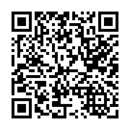 QR code for L12995