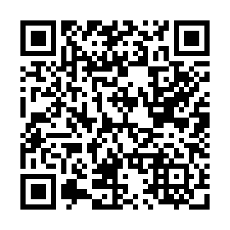QR code for L13381