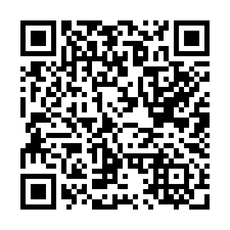 QR code for L13391