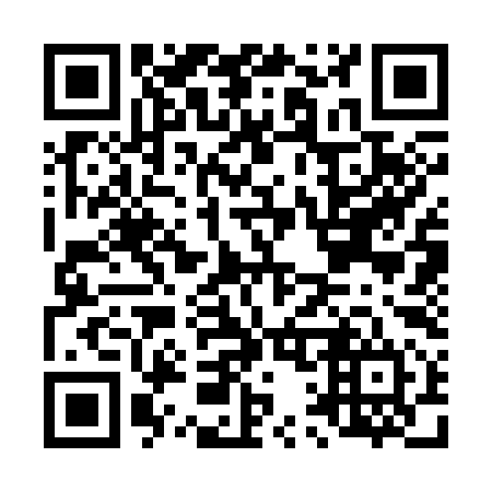 QR code for L13394