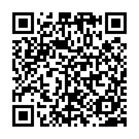 QR code for L13565